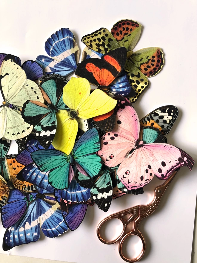 Hand cut watercolour paper butterflies