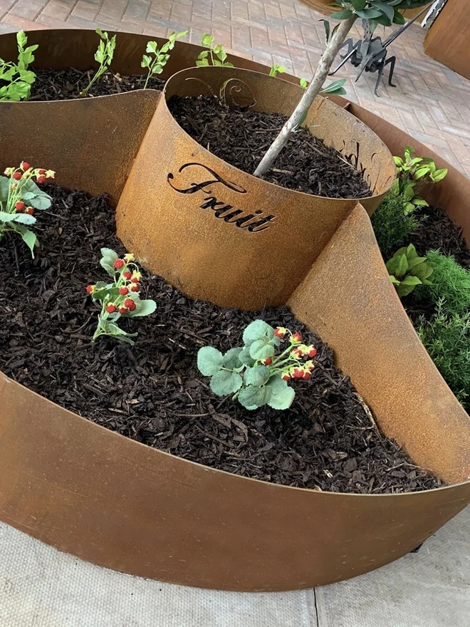 Circle Of Life Corten Vegetable Planter, in room with plants growing in soil. 