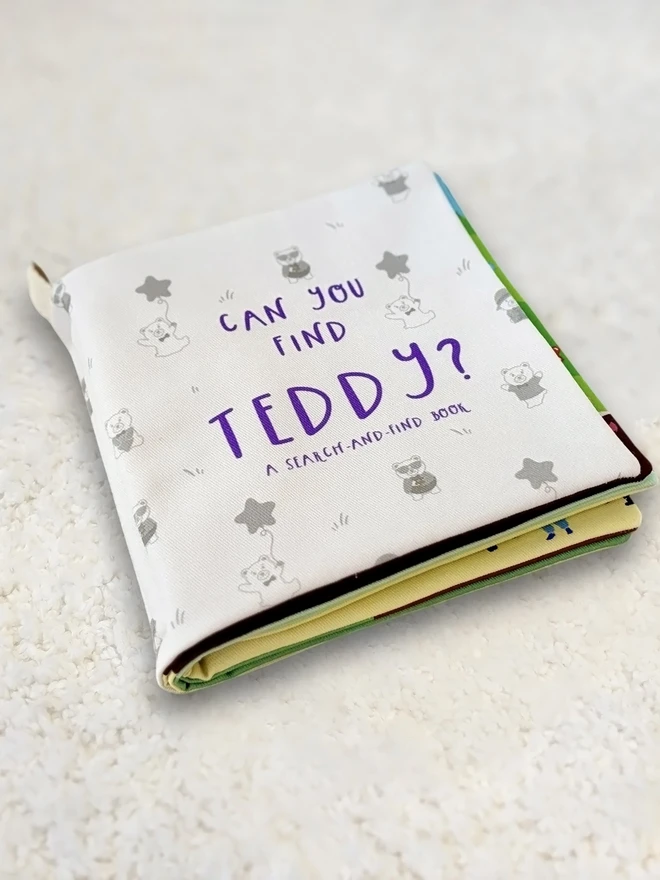 Cover of Can you find Teddy? Search and find soft book