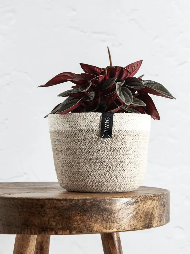 Small Natural Cotton Pot