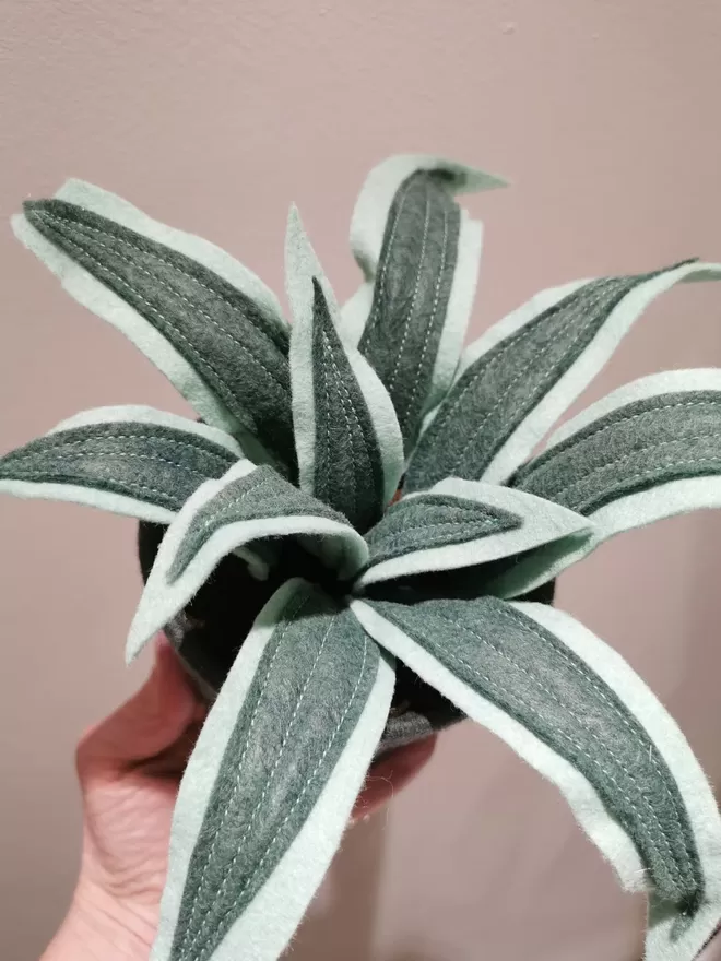 Felt small potted spider plant