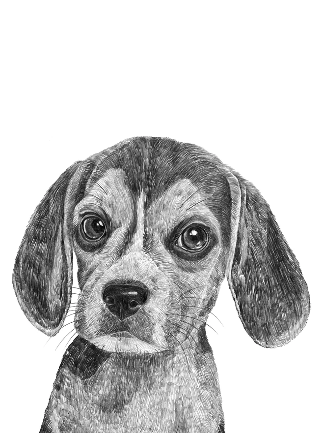 Detail of beagle puppy art print
