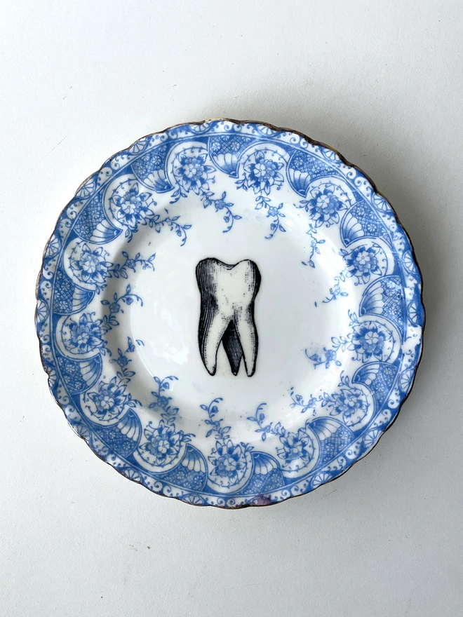 Ornate vintage plate with a border in blue and white, and in the centre is a vintage illustration of a molar tooth