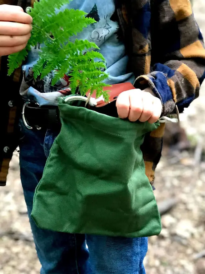 Personalised Foraging Drawstring Canvas Pouch, a green canvas foraging pouch on belt while placing a green fern leaf inside.