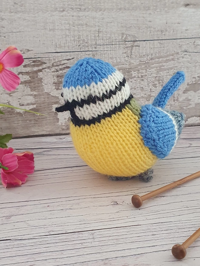 Blue tit colourful bird knit kit for beginners