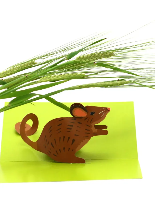 3d mouse pop up card