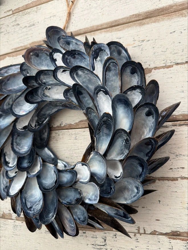  Small Mussel Shell Wreath