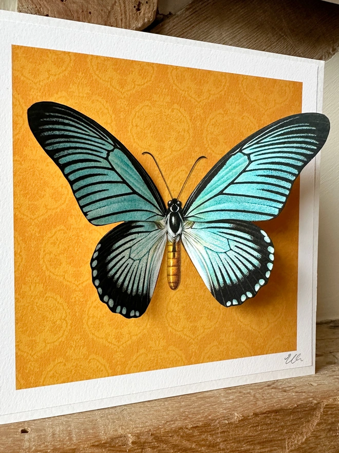 A bright, hand made card featuring a giant, blue, swallowtail butterfly on a vibrant, orange, background. The butterflies wings measure 12cm in width and have been hand cut. This makes the butterfly wings 3D when displayed and pulled forward. The card is perfect for nature lovers.