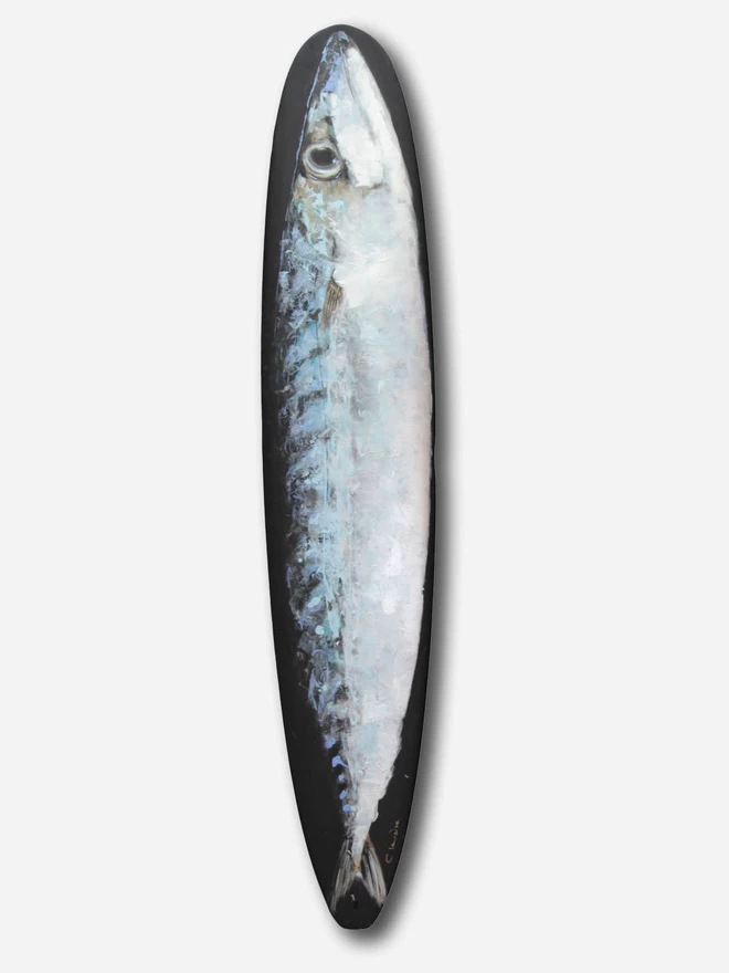 shopfront image of big mackerel painted longboard