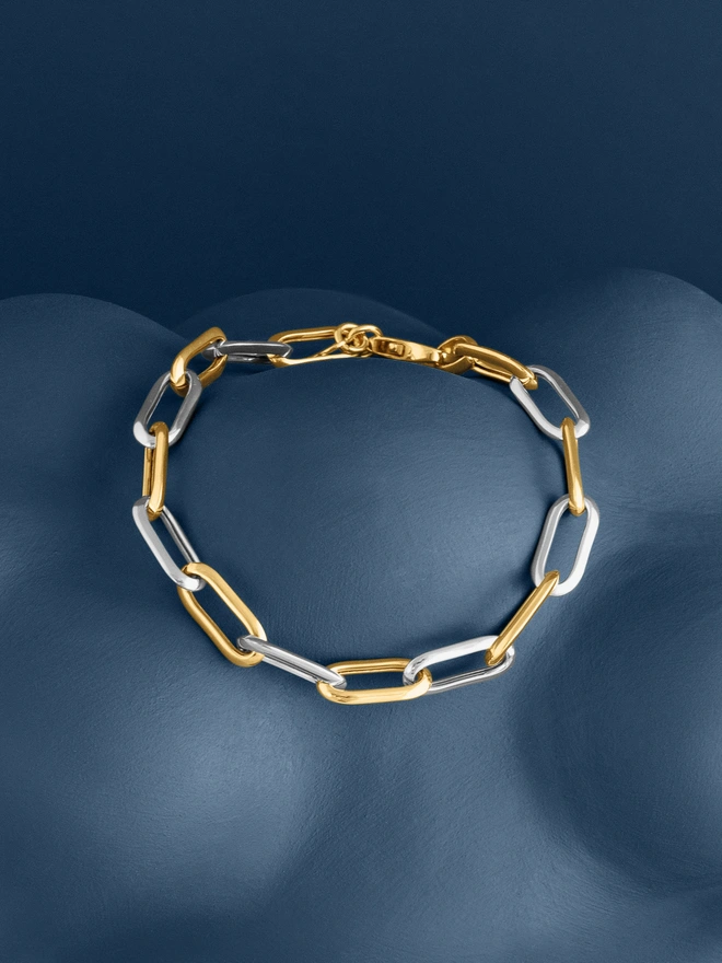 Loel Mixed Metal Long Link Chain Bracelet