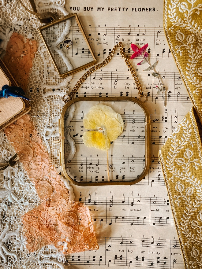 Yellow Pressed Pansy Framed Keepsake