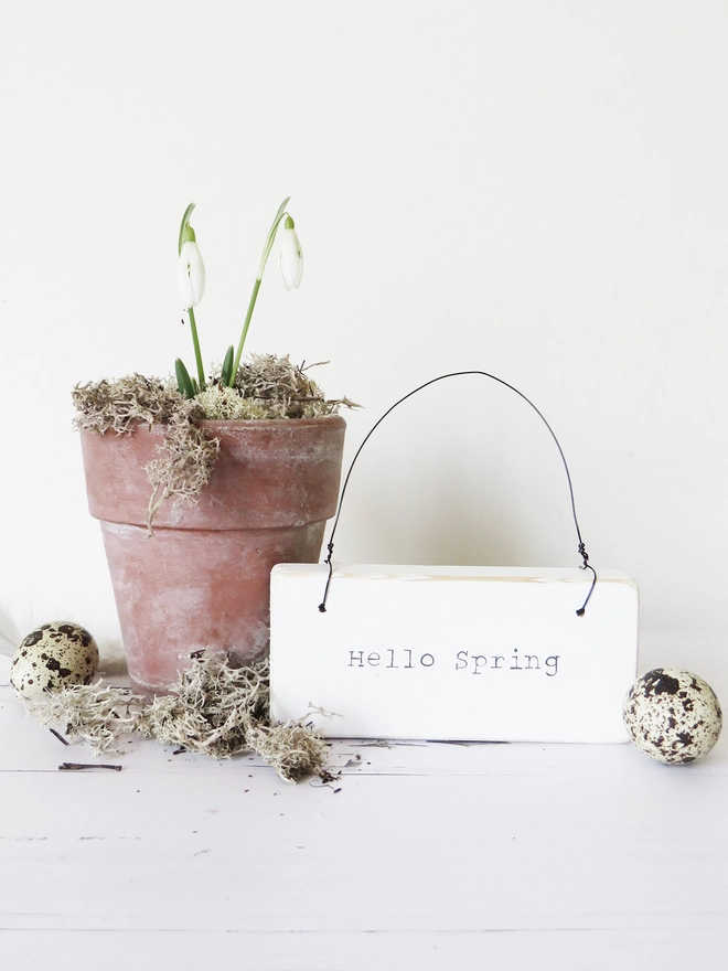 handpainted wooden hello spring sign