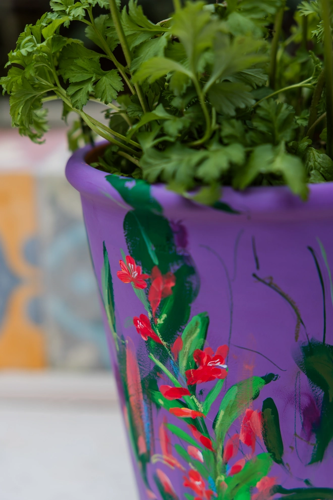 Unique hand-painted terracotta pot featuring twizzle coral flowers on a purple background
