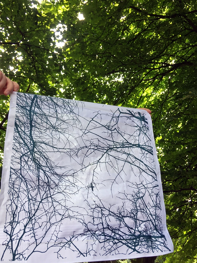 A Mr.PS Flying High Handkerchief held up in a sunny woodland