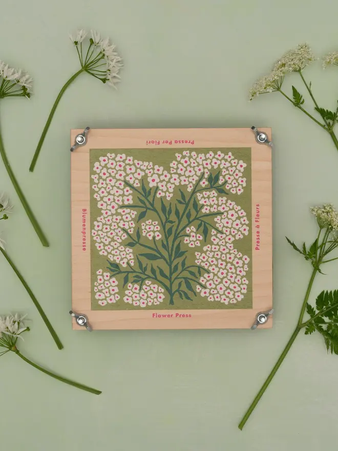 forget me not flower press, sitting on a green surface, showing the front/cover of the press- a white and green floral design