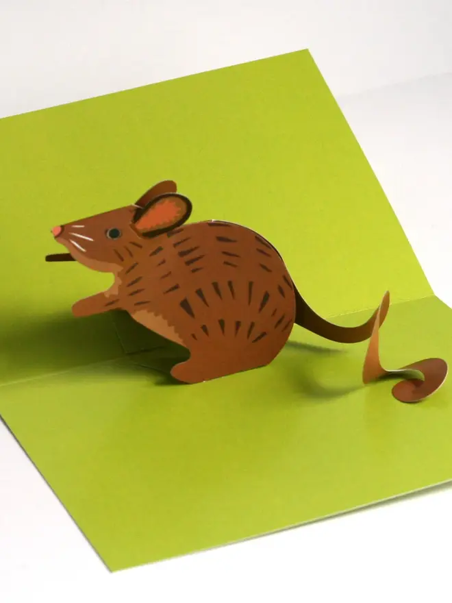 3d mouse pop up card