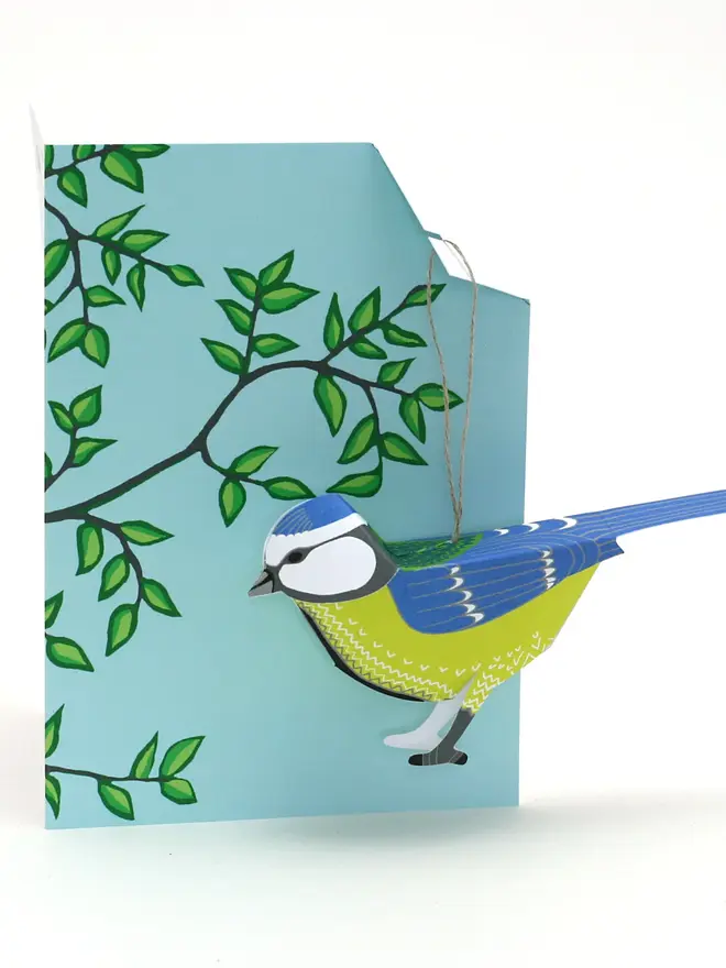 Bluetit pop up card