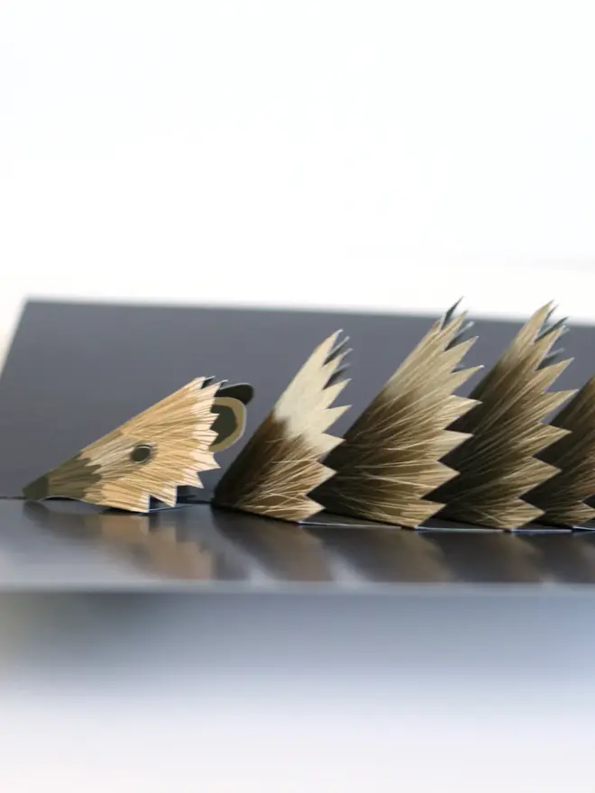 3d hedgehog pop up card