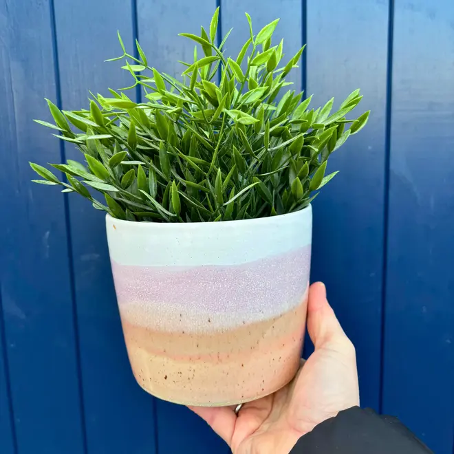 Ice Cream Sundae Pot, a person holding a colourful pot against a navy blue wooden backdrop. The pot is accompanied by a plant. 