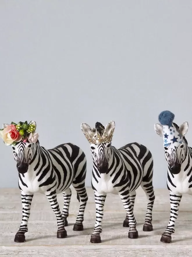 zebras seen with different headdresses.