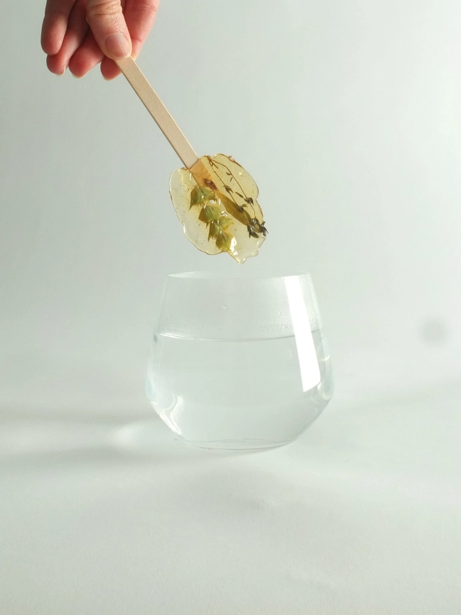 Fleurs-d-hiver-mountain-tea-thyme-infusion