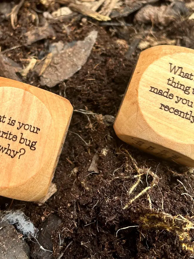 Dice showing 2 questions on a forest floor