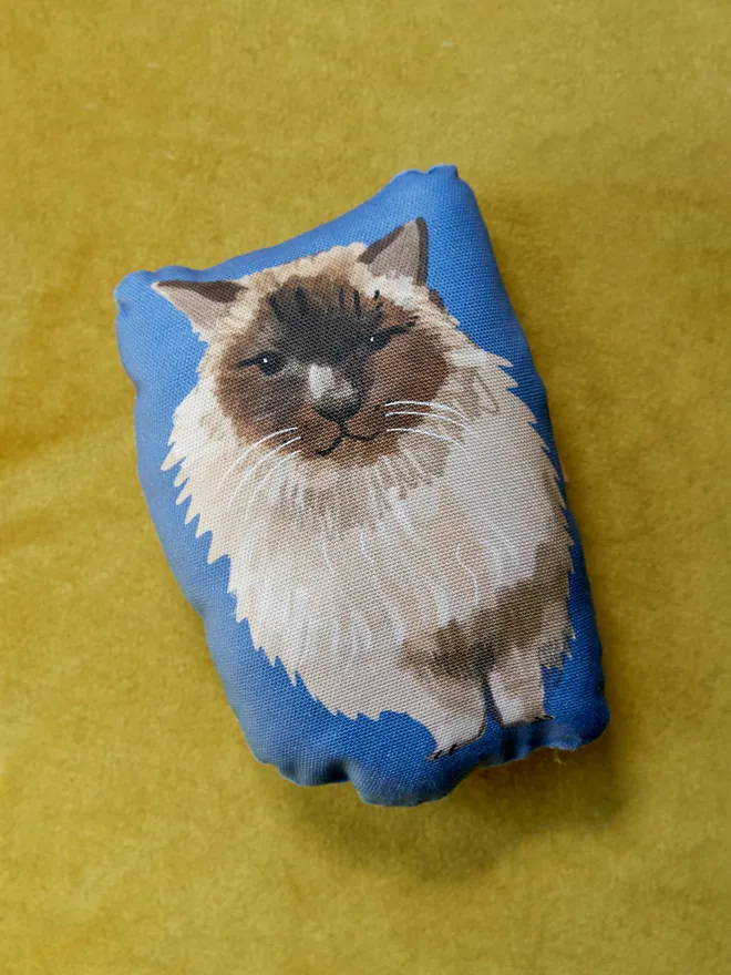 Custom pet plushie