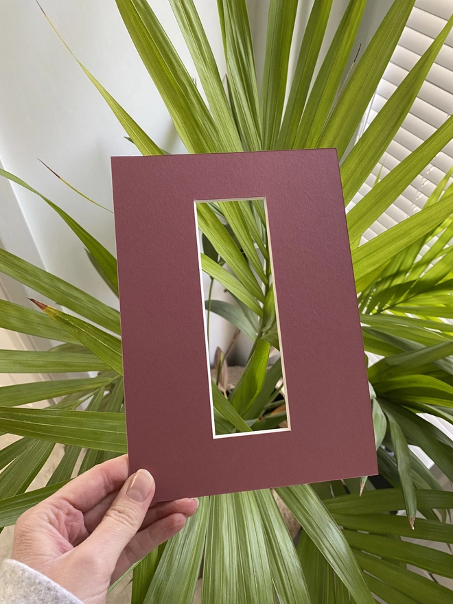 Raspberry A5 photo booth / photo strip mount