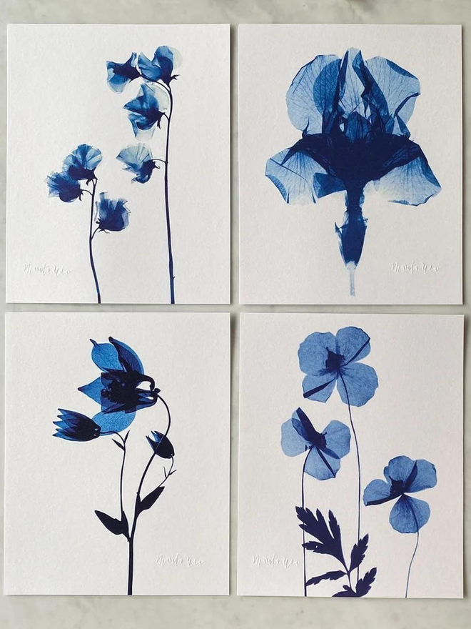 Botanical X-Ray Iris Flower Print by Marita Wai 