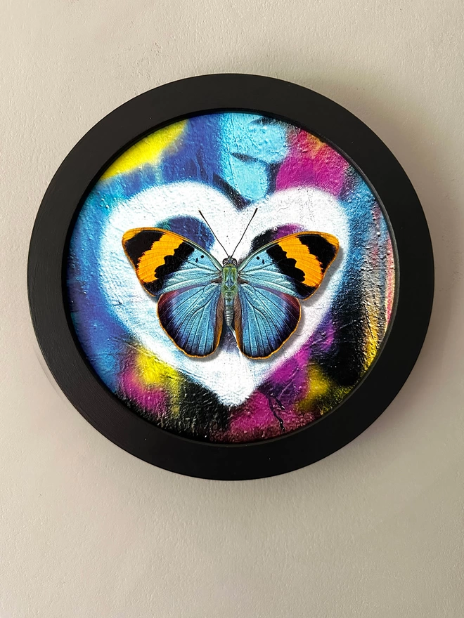 Blue and yellow butterfly painting on a graffiti spray paint background with a white heart in a black circular frame hanging on a wall.