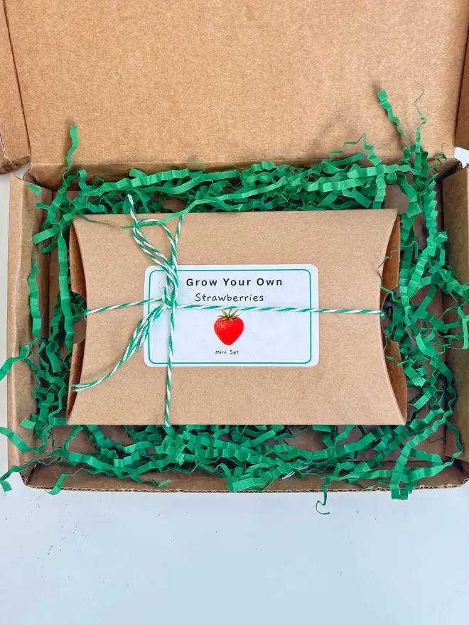 little green grow your own mini strawberries kit. a cardboard box containing seeds and equipment to grow strawberries.