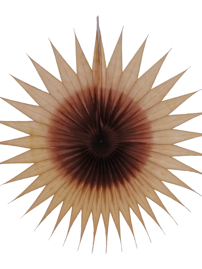 Pointed Two-Tone Fan 40cm, Chestnut & Coffee