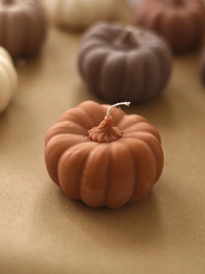Medium Rust Wax Pumpkin Candle. Close-up of a terracotta pumpkin candle with a detailed moulded stalk and cotton wick, with brown and cream pumpkins blurred behind. The ribbed, matte finish gives this decorative candle a realistic, handcrafted look.