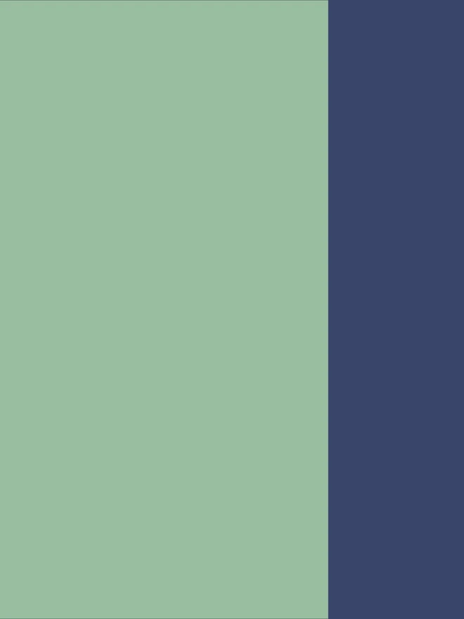 Aqua/Cobalt Border

