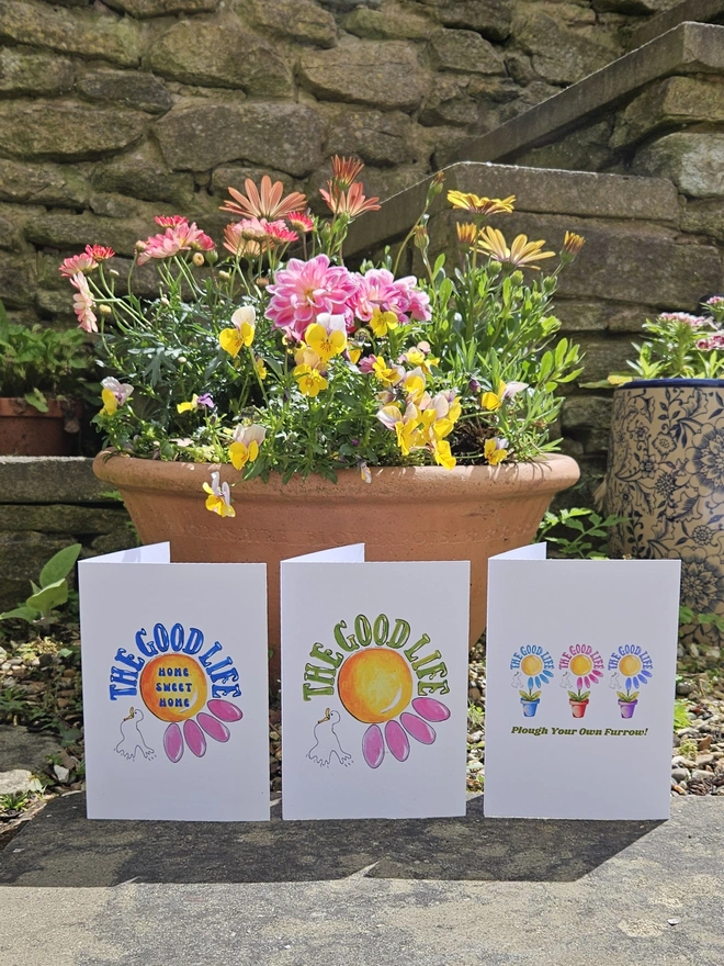A photograph of the 3 Good Life Cards in a row stood up in front of a pot full of flowers in a garden. 