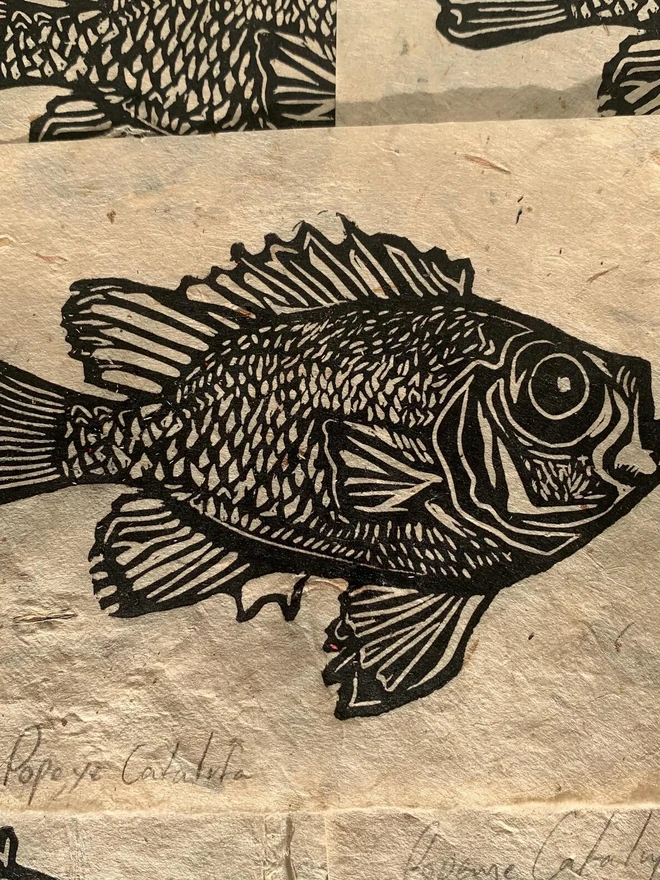 Lino Print Popeye Catalufa Fish On Handmade Paper
