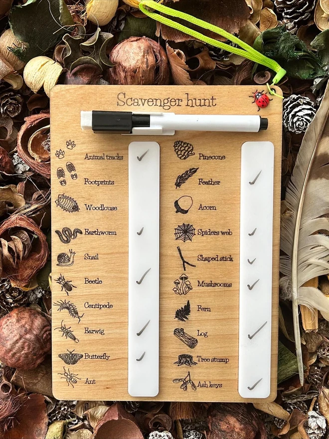 Wooden scavenger hunt collection board engraved with illustrated nature items such as pinecone, feather, acorn, insects, and animal tracks, featuring check-off sliders and a dry-erase pen, displayed on dried leaves and pinecones.