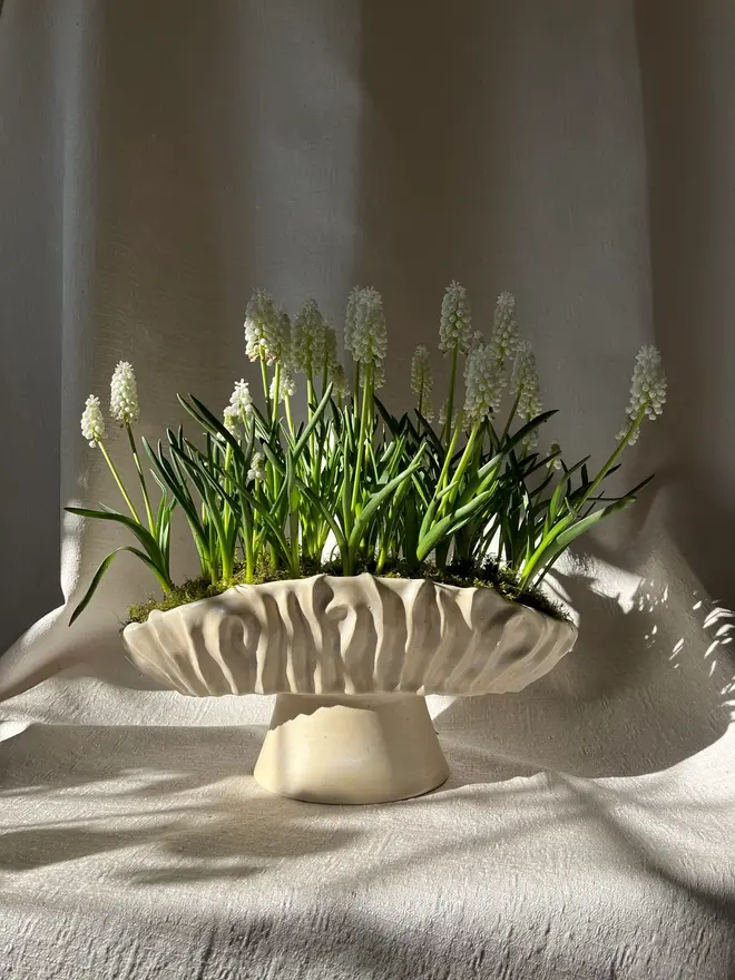 Textured Oval Pedestal Planter Opal, an opal planter sitting on a linen surface. It is accompanied by some plants. 