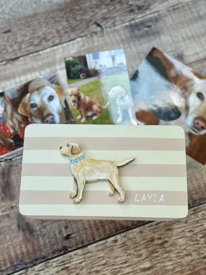 Dog memory box showing photos 