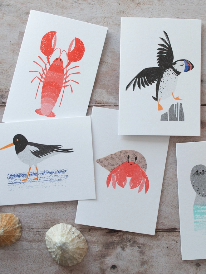 5 coastal inspired mini greeting cards lie on a wooden background with shells scattered around. Each card features a coastal animal or bird, designs include, Lobster, Puffin, Seal, Hermit Crab and Oystercatcher.