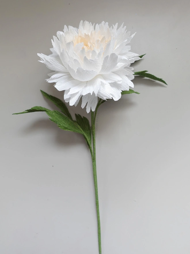 Crepe Paper Double Peony DIY Kit