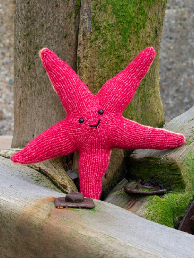Starfish Knitting Kit. A red and orange completed starfish.