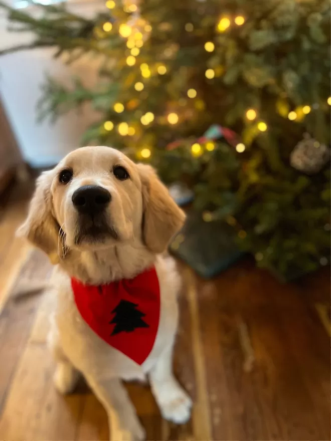 Classic Christmas Tree Slip on Bandana Golden Retriever