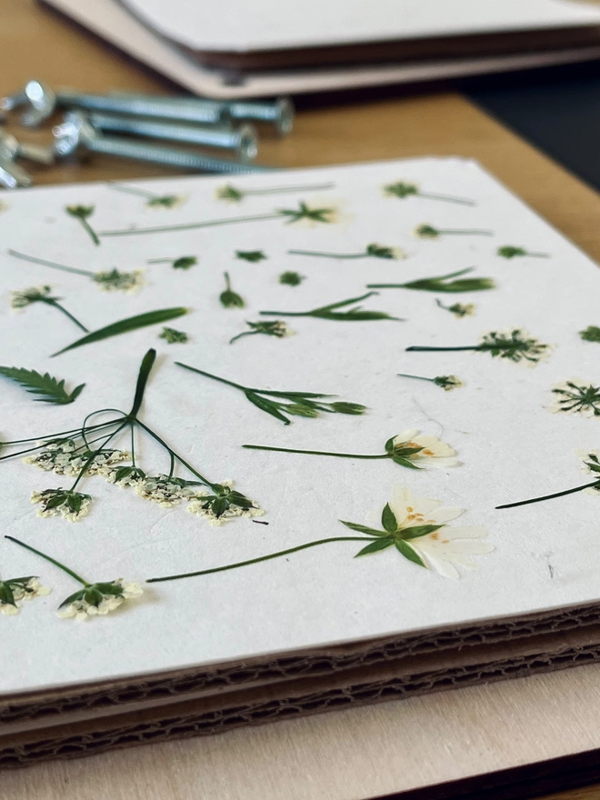 Lucy's flower press with pressed white flowers used in her designs.