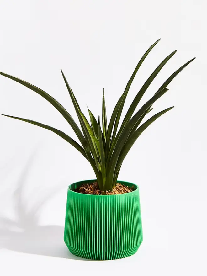 Sustainable 3D Printed Bamboo Green Plant Pot, pillar design, against a white background.