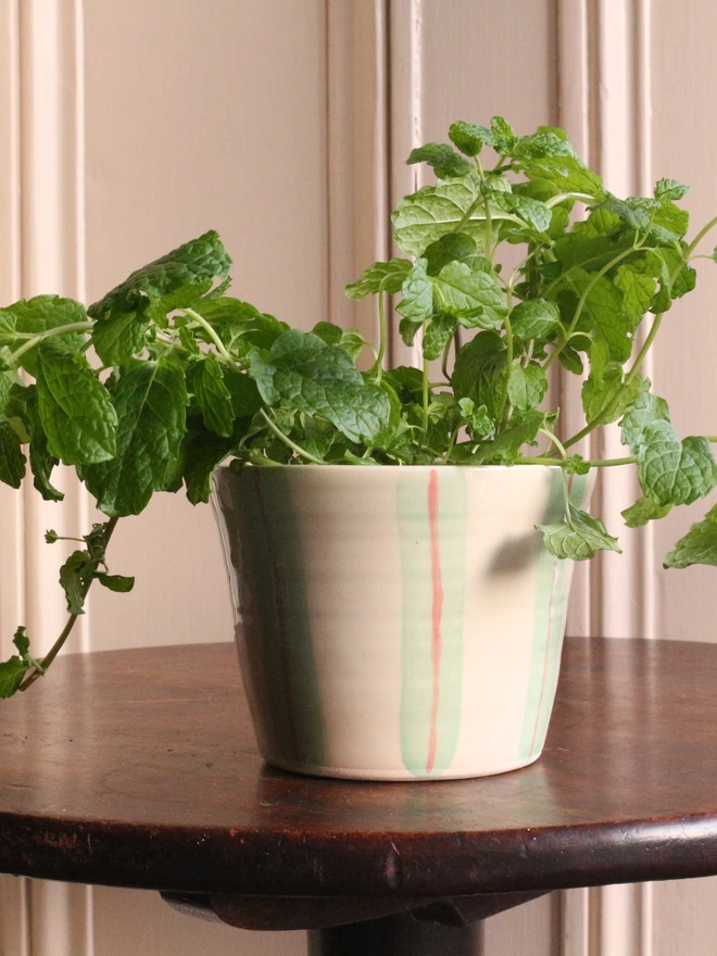 Ceramic pot for your herbs in green and pink