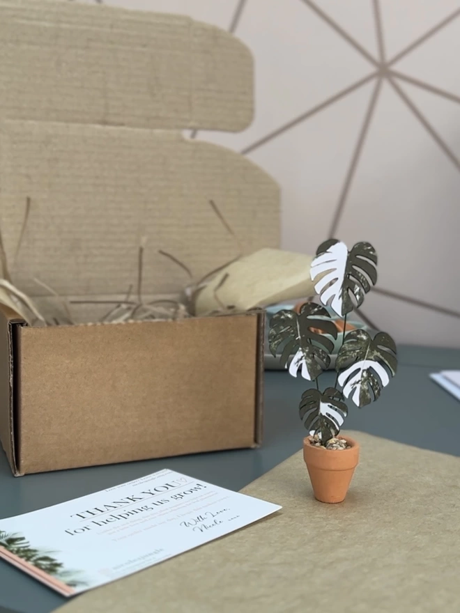 A miniature replica Variegated Monstera Deliciosa Albo paper plant ornament in a terracotta pot sat on some brown gift paper and next to a brown box and thank you card