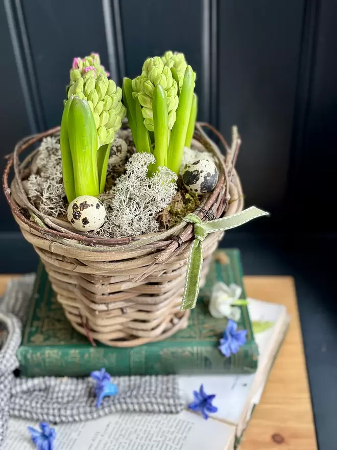 Rattan basket filled with hyacinths sitting on top a stack of books finished with quail eggs and moss