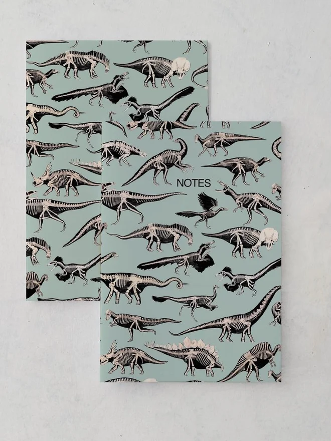 Dinosaur Fossils Notebook