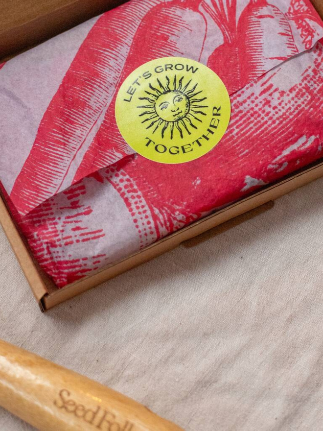 the veg patch seed collection. small box in pink packaging illustrated with carrots photographed open to show packaging inside.